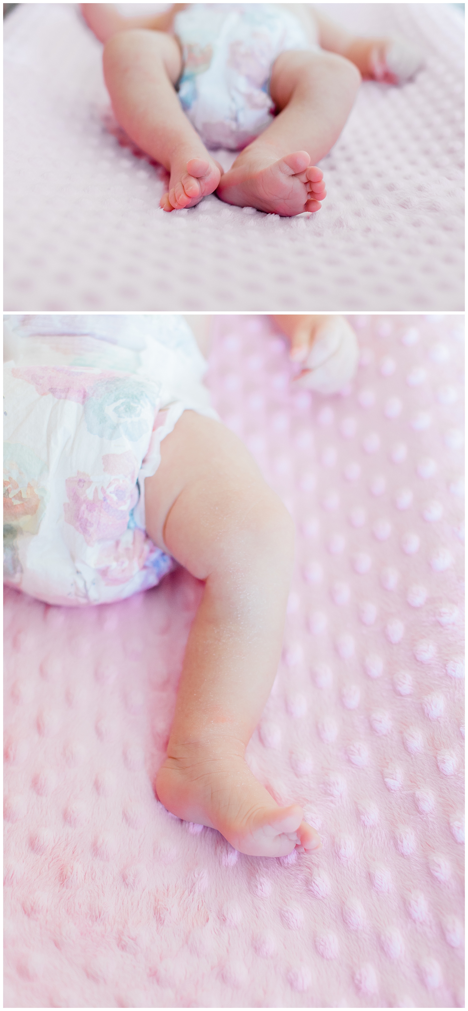 Baby toes at lifestyle newborn session, with Halie Olszowy (based in Portsmouth, NH).