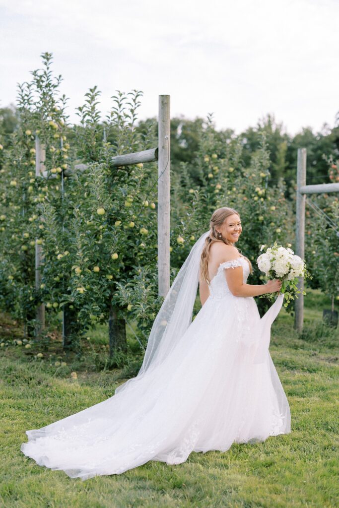 Bridal portrait in the orchard for summer New England wedding