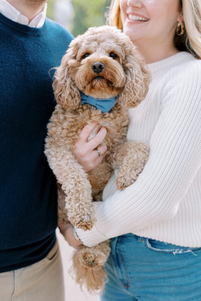 Dog friendly engagement photo location in Boston on Comm Ave